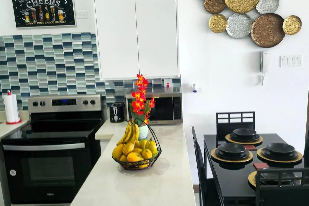 Cosmopolitan Retreat - New Kingston Apartment